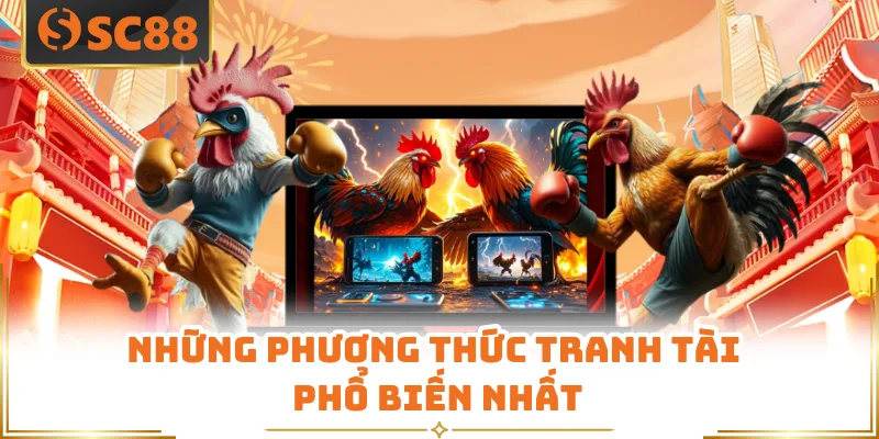 Những phương thức tranh tài phổ biến nhất